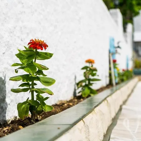 Ξενοδοχείο με διαμερίσματα Anna's & 3*